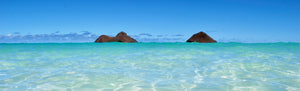 Lanikai Boardshorts